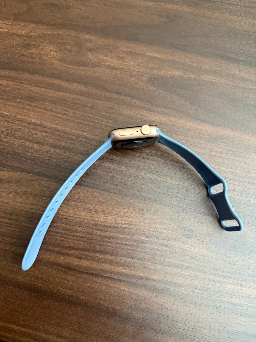 Blue Silicone Band Smartwatch with Gold-Tone Case